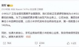 su7最新网友爆料,网友揭秘神秘性能，国产战机的未来展望