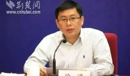 幻方徐进妻子最新爆料,幻方背后惊人真相曝光