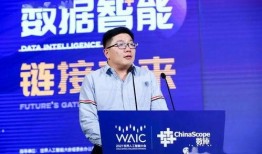 幻方徐进妻子最新爆料,幻方背后惊人真相曝光